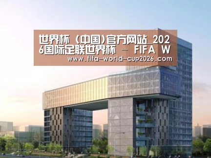 案例展示四