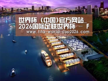 案例展示八
