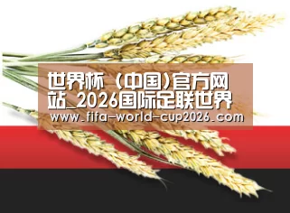 世界杯 (中国)官方网站_2026国际足联世界杯 - FIFA Worldcup