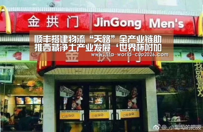 顺丰搭建物流“天路”全产业链助推西藏净土产业发展‘世界杯附加赛’(图2) FYT体育